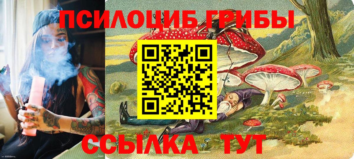 Ступино  Псилоцибиновые грибы мухоморы  купить наркоту  Вход с VPN 